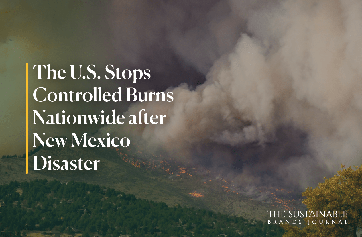 The U.S. Stops Controlled Burns Nationwide after New Mexico Disaster