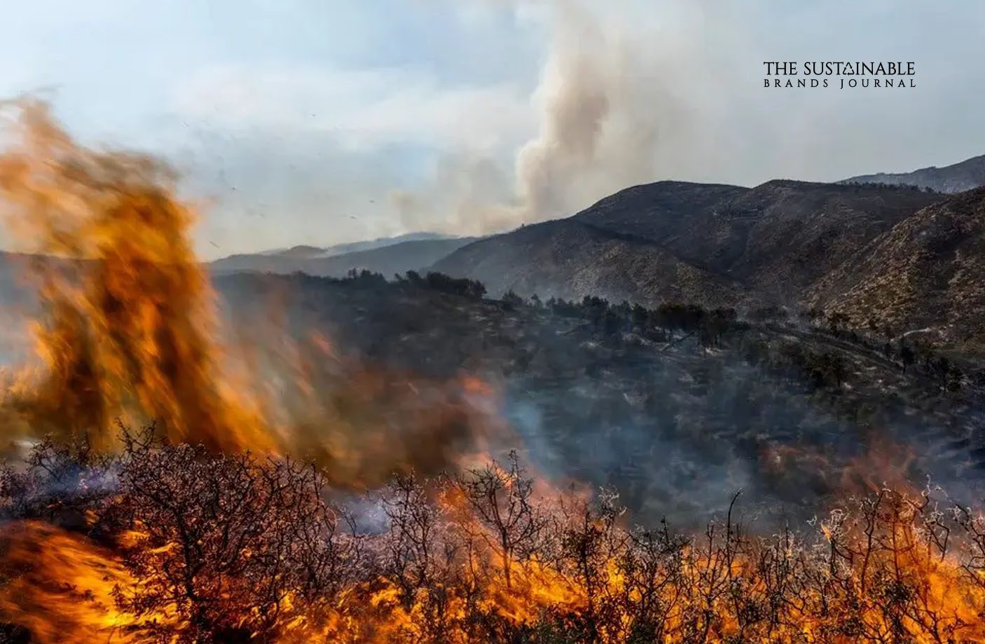 spain wildfire