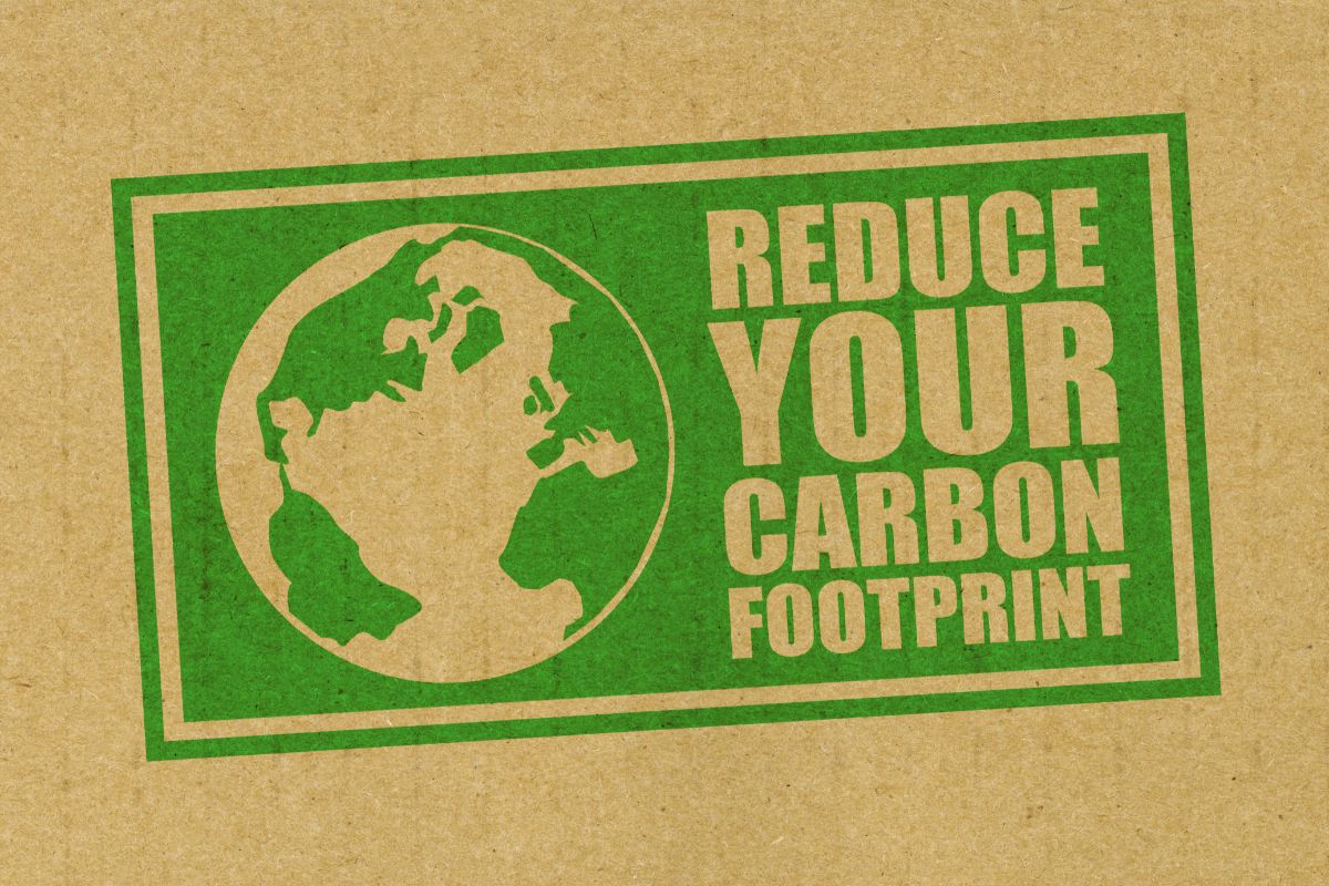 Strategies for Businesses to Reduce Their Carbon Footprint