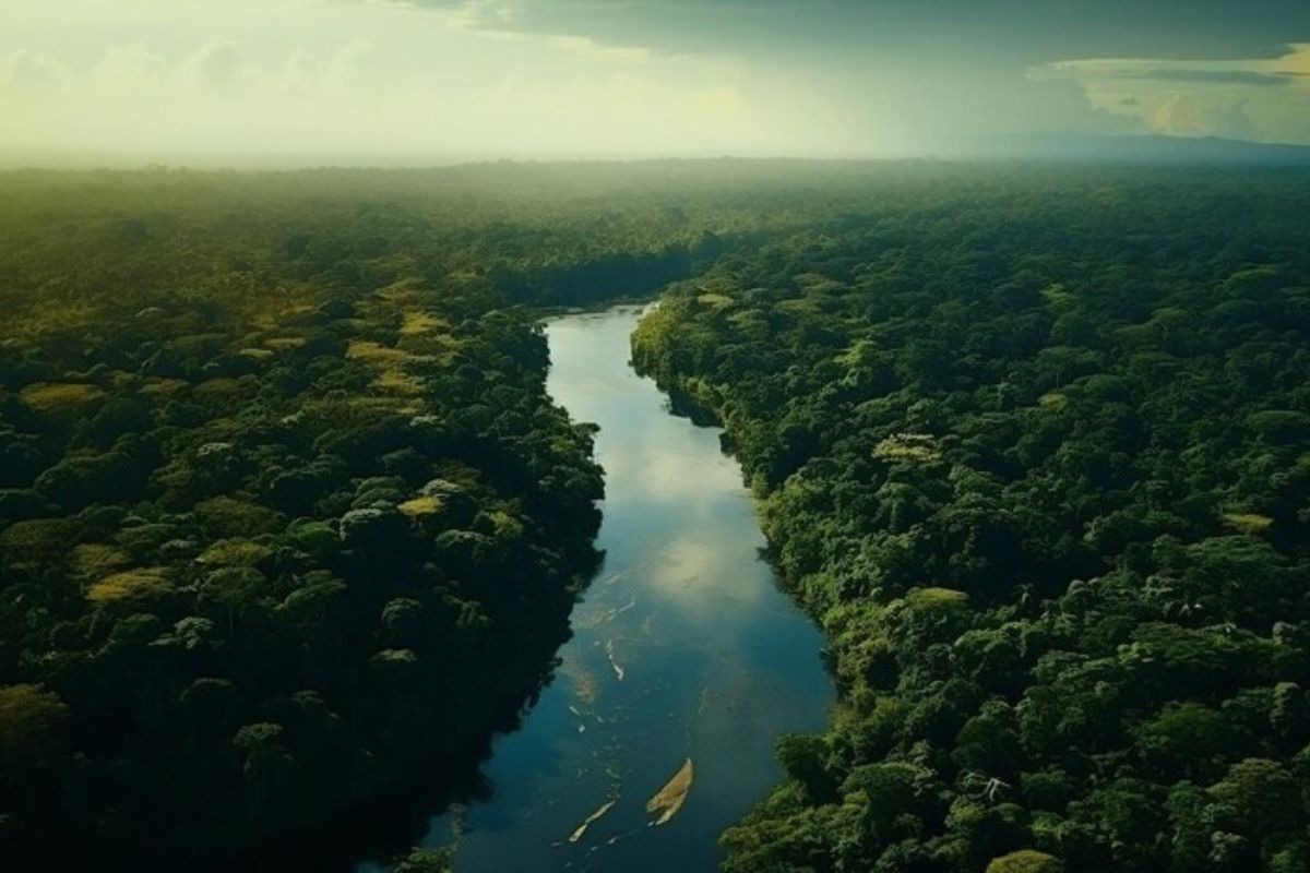 Amazon River