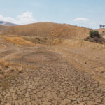 Agricultural land in Southern Sicily is becoming impossible to farm due to extreme drought