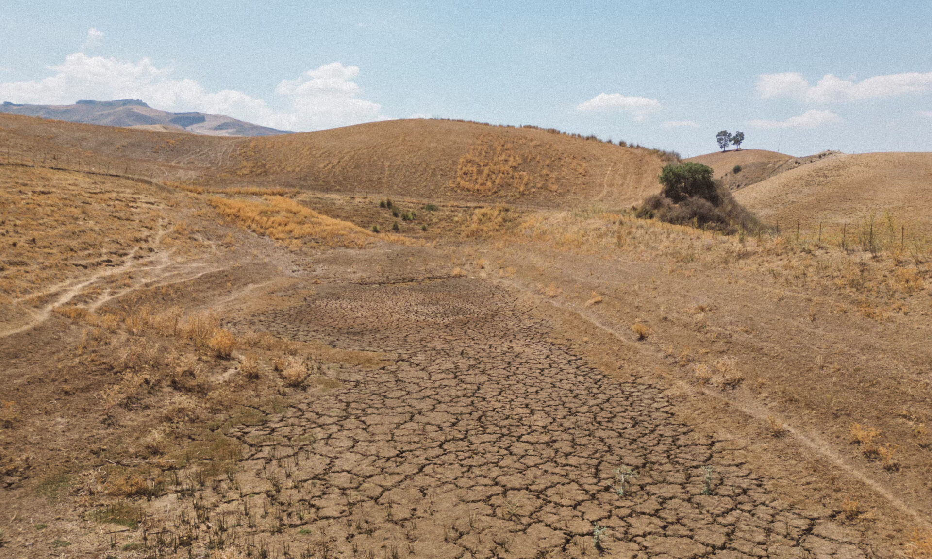 Agricultural land in Southern Sicily is becoming impossible to farm due to extreme drought