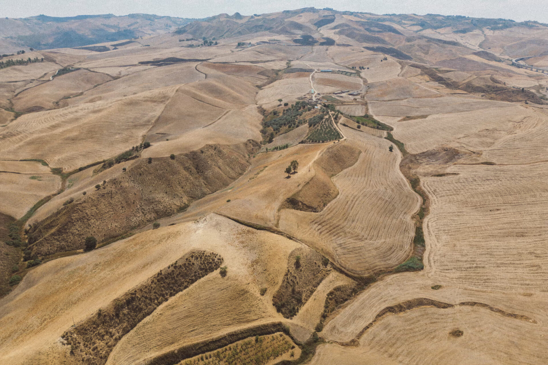 The parched fields in southern Sicily