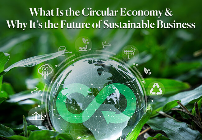 What Is the Circular Economy & Why It’s the Future of Sustainable Business