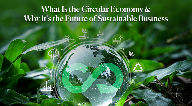 What Is the Circular Economy & Why It’s the Future of Sustainable Business