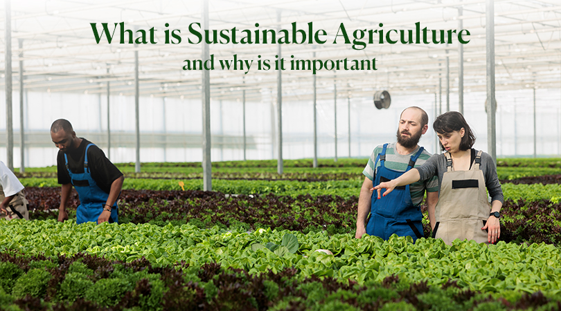 Future of Farming: Sustainable Agriculture Powered by AI & Robotics